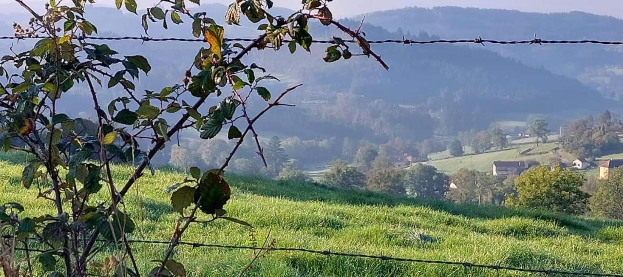 La Mazille , Cossy Vakantiestudio Met Zwembad In Zuid-Bourgogne Anglure-sous-Dun ภายนอก รูปภาพ